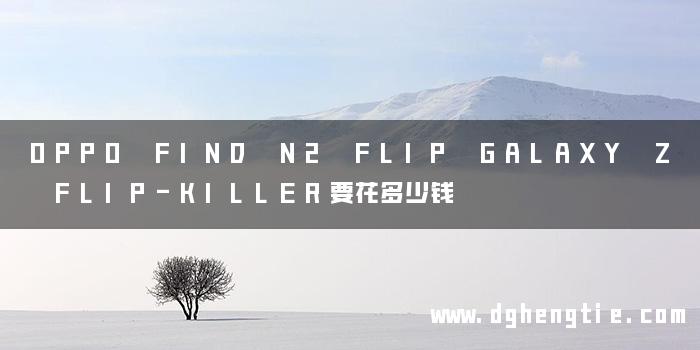 OPPO FIND N2 FLIP GALAXY Z FLIP-KILLER要花多少钱